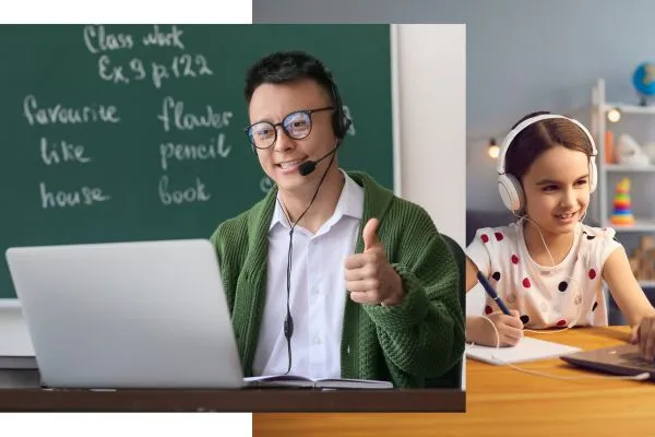 Noise Cancelling Headset with Mic